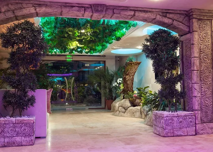 Harmony Jungle - Family Friendly Complex מלון דירות סאני ביץ'